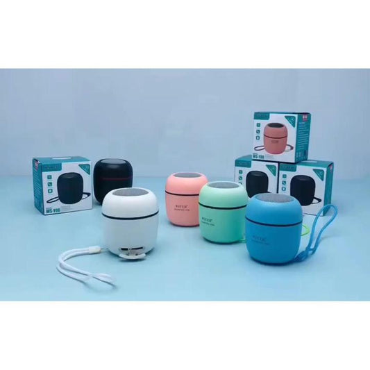 WSTER WS-Y06 Support USB TF CARD FM RADIO Mini Digital