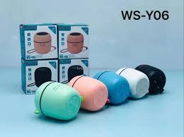 WSTER WS-Y06 Support USB TF CARD FM RADIO Mini Digital